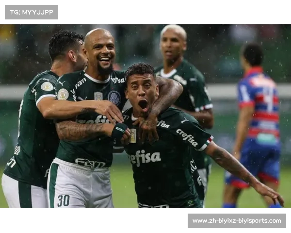 巴西甲联赛2020赛季赛程与南美足球比较